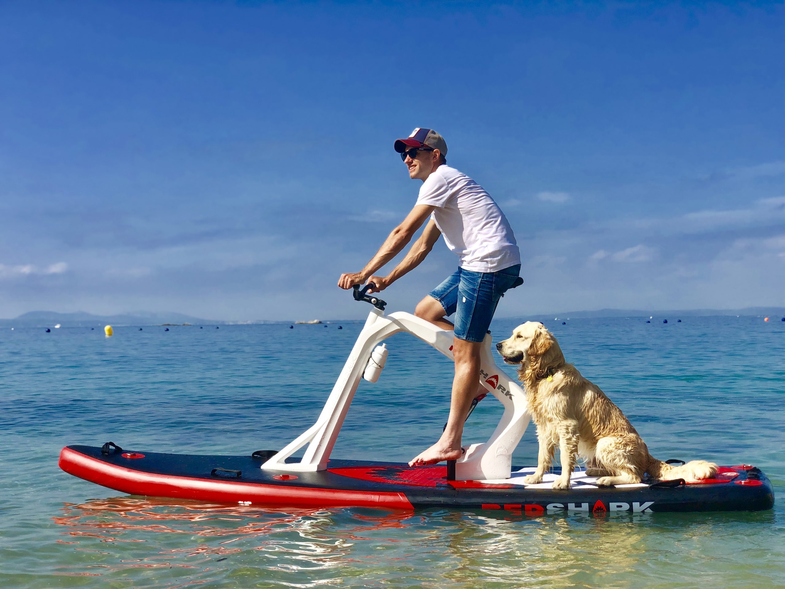 bici acuatica con perro